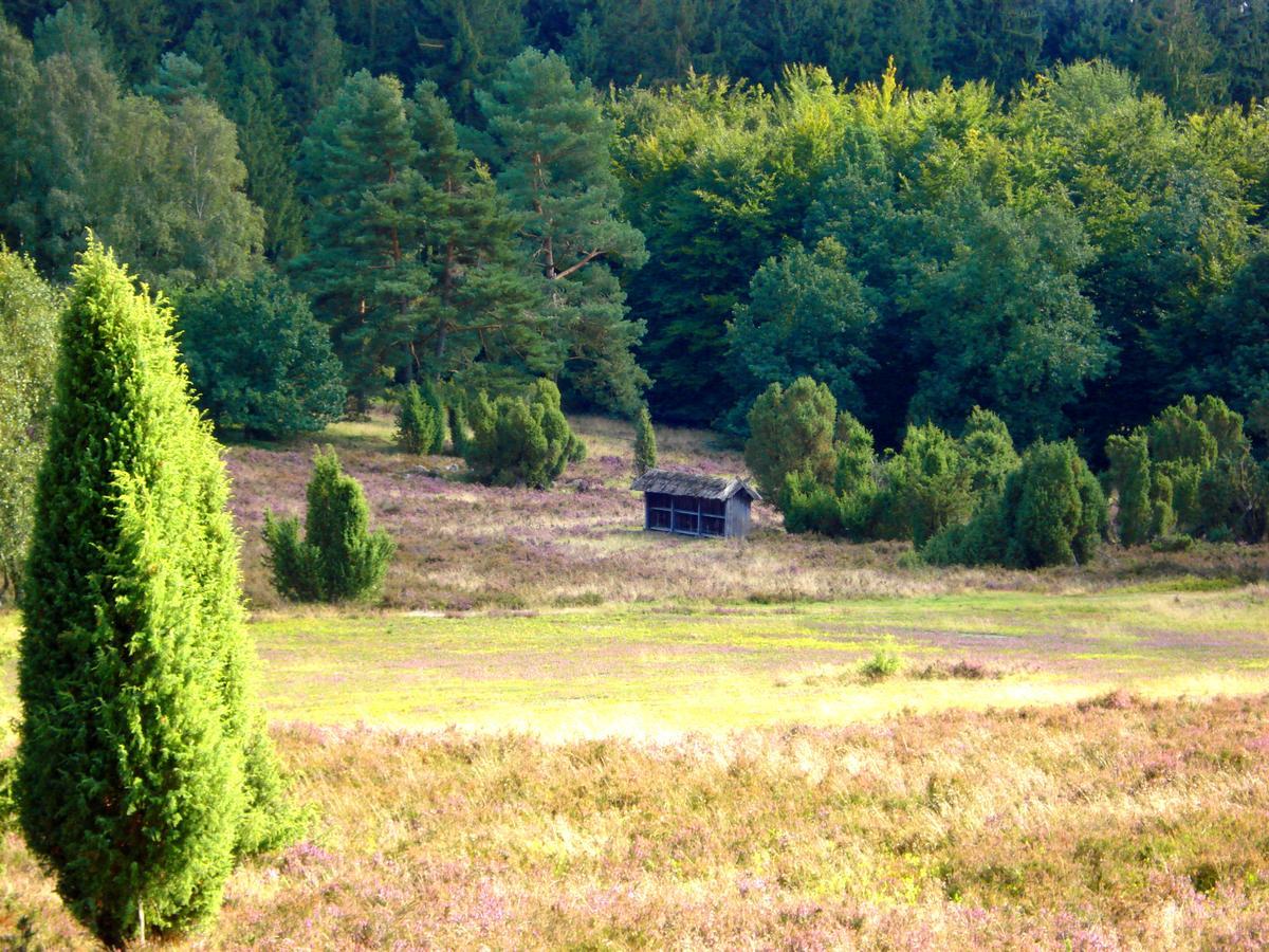 Landgasthaus Zum Naturschutzpark Bispingen Ngoại thất bức ảnh