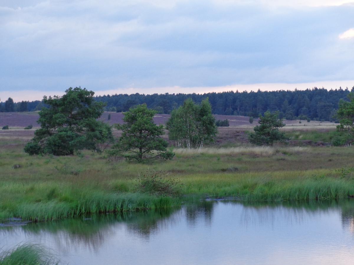 Landgasthaus Zum Naturschutzpark Bispingen Ngoại thất bức ảnh